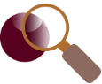 Accueil 3 Transparence